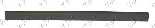 FRONT DOOR SIDE MOULDING